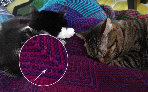 Cat Hait Hue Shift Blanket