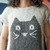 Knit Picks Podcast, Episode 262: Milestones and Memories - Professor Meow, intarsia cat sweater knitting pattern