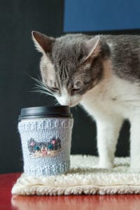 Cat-puccino coffee cozies pattern, Knit Picks