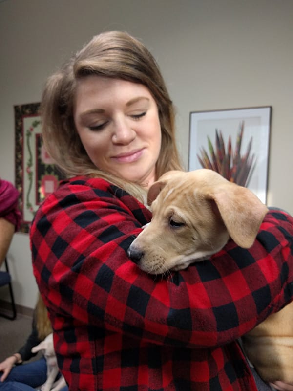 Snuggle Express 2017 - Knit Picks