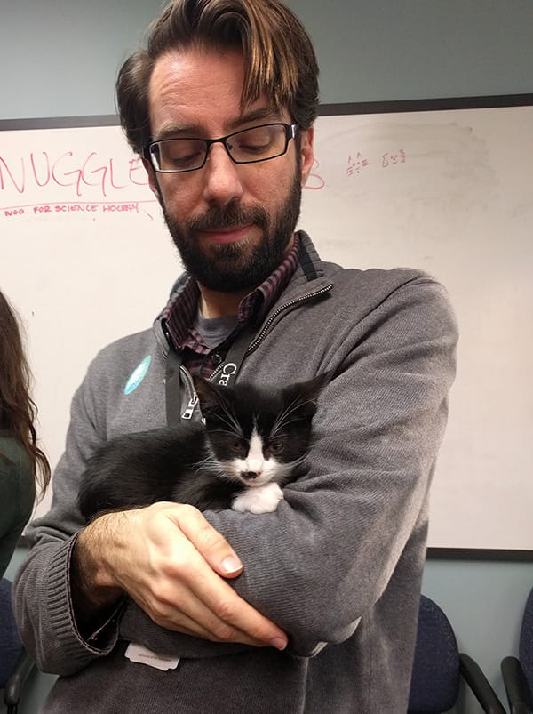 Snuggle Express 2017 - Knit Picks