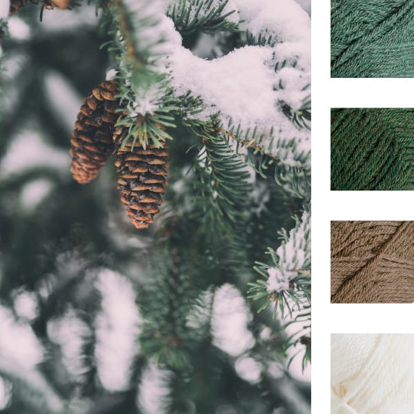 snowy forest color palette