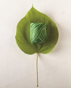 Knit Picks Dishie Multi cotton yarn in Caterpillar 