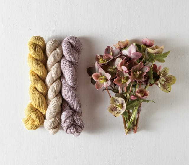 Knit Picks ALpaca Cloud yarn + Hellebore flowers