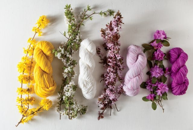 Knit Picks Spring flowers + yarns