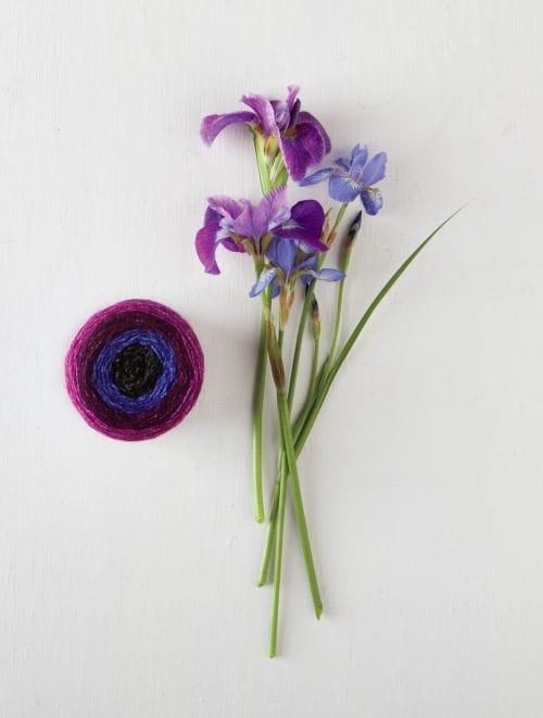 Knit Picks Stroll Gradient + Irises