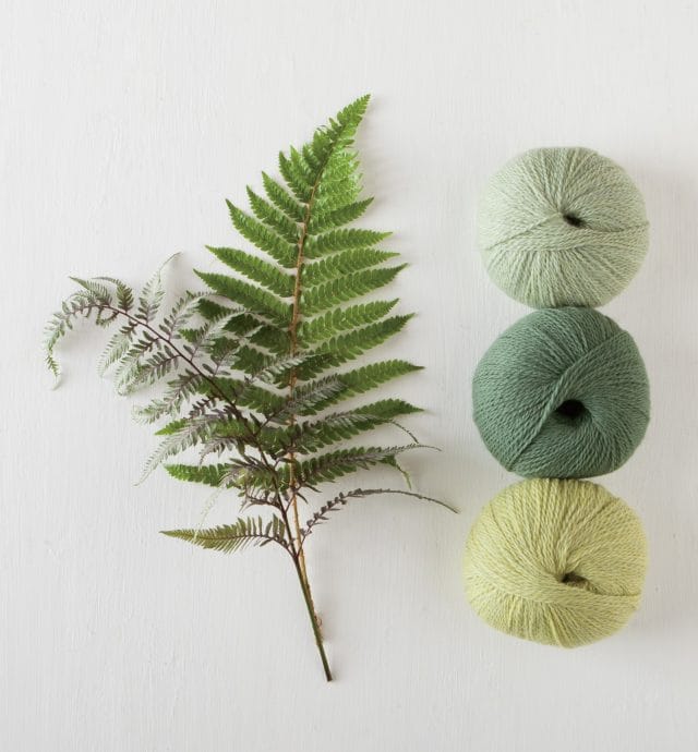 Knit Picks Palette yarns + Sword ferns