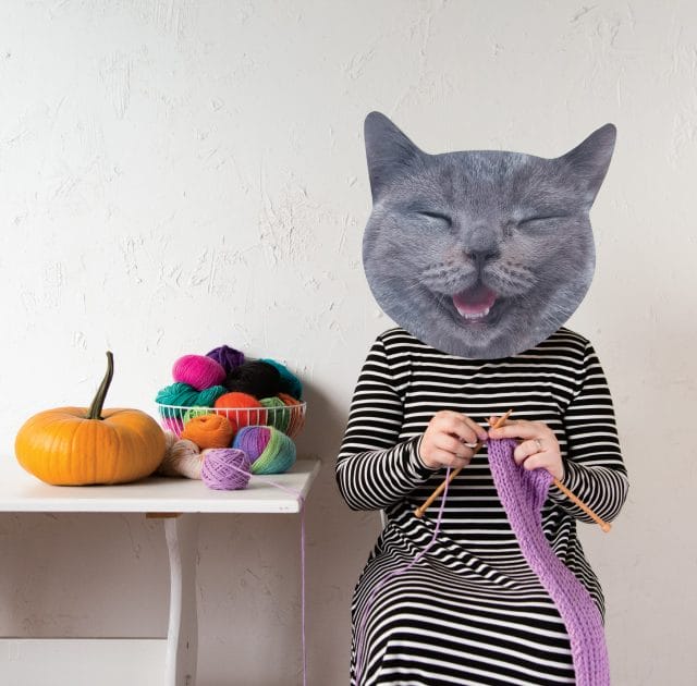 Knit Picks Halloween Staff photo