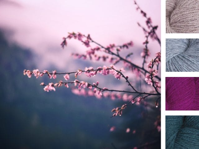 warm & cozy sock set - Cherry Blossom