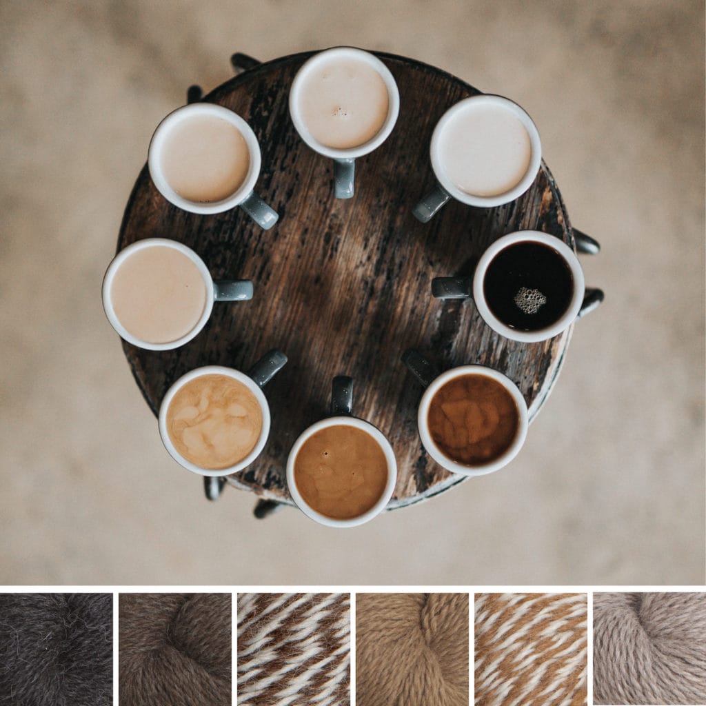 A neutral autumn color palette: At the top, the inspiration photo consists of a top-down view of eight cups of coffee in various shades of dark brown to tan to very light cream. Below, six yarn swatches from Simply Alpaca in the following colors: dark gray, dark brown, brown-cream twist, tan, tan-cream twist, and light latte cream.