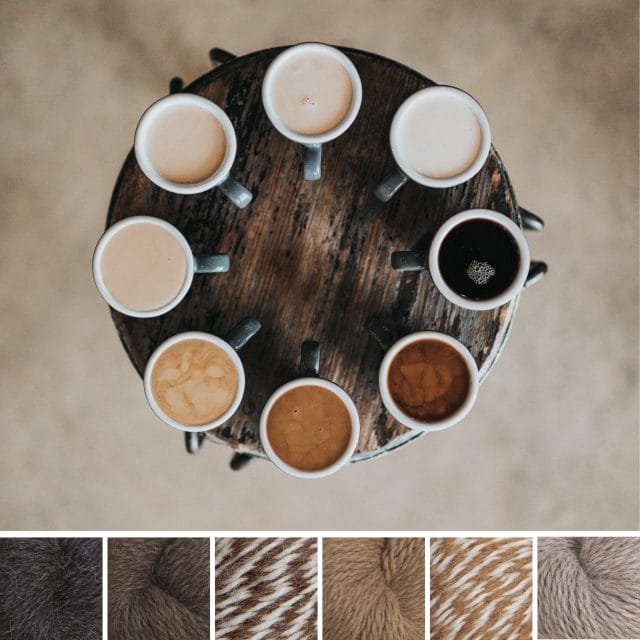 A neutral autumn color palette: At the top, the inspiration photo consists of a top-down view of eight cups of coffee in various shades of dark brown to tan to very light cream. Below, six yarn swatches from Simply Alpaca in the following colors: dark gray, dark brown, brown-cream twist, tan, tan-cream twist, and light latte cream.