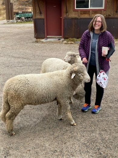 Jen is a white woman with light brown hair. She's standing next to three sheep by a barn.