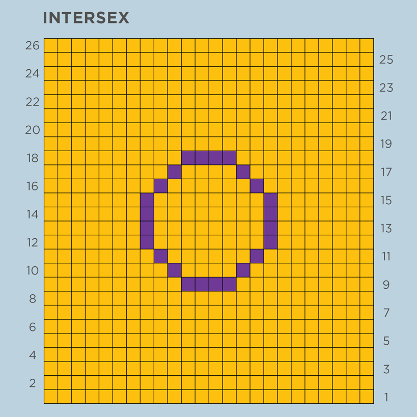 A duplicate stitch chart of the Intersex Pride flag. 